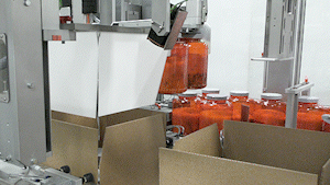Protein powder gallon bottles being packed into cases